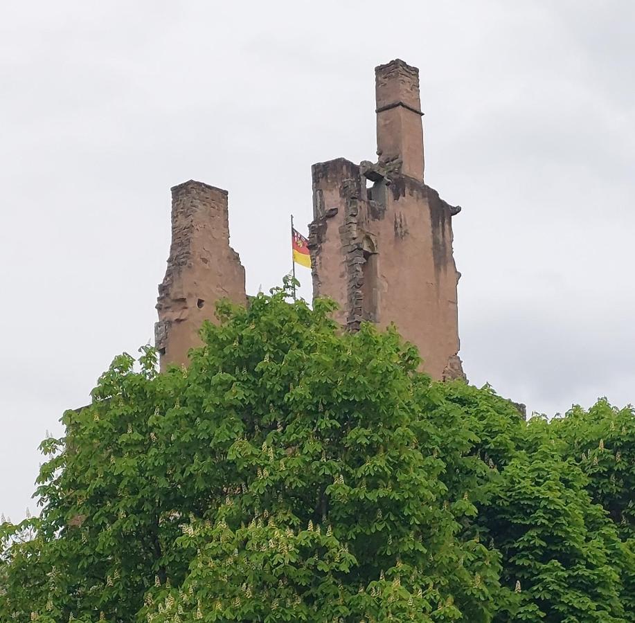 Apartament Ella Am Eifelsteig Kordel Zewnętrze zdjęcie